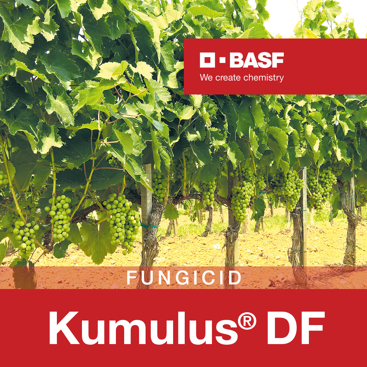 Kumulus DF 1 kg
