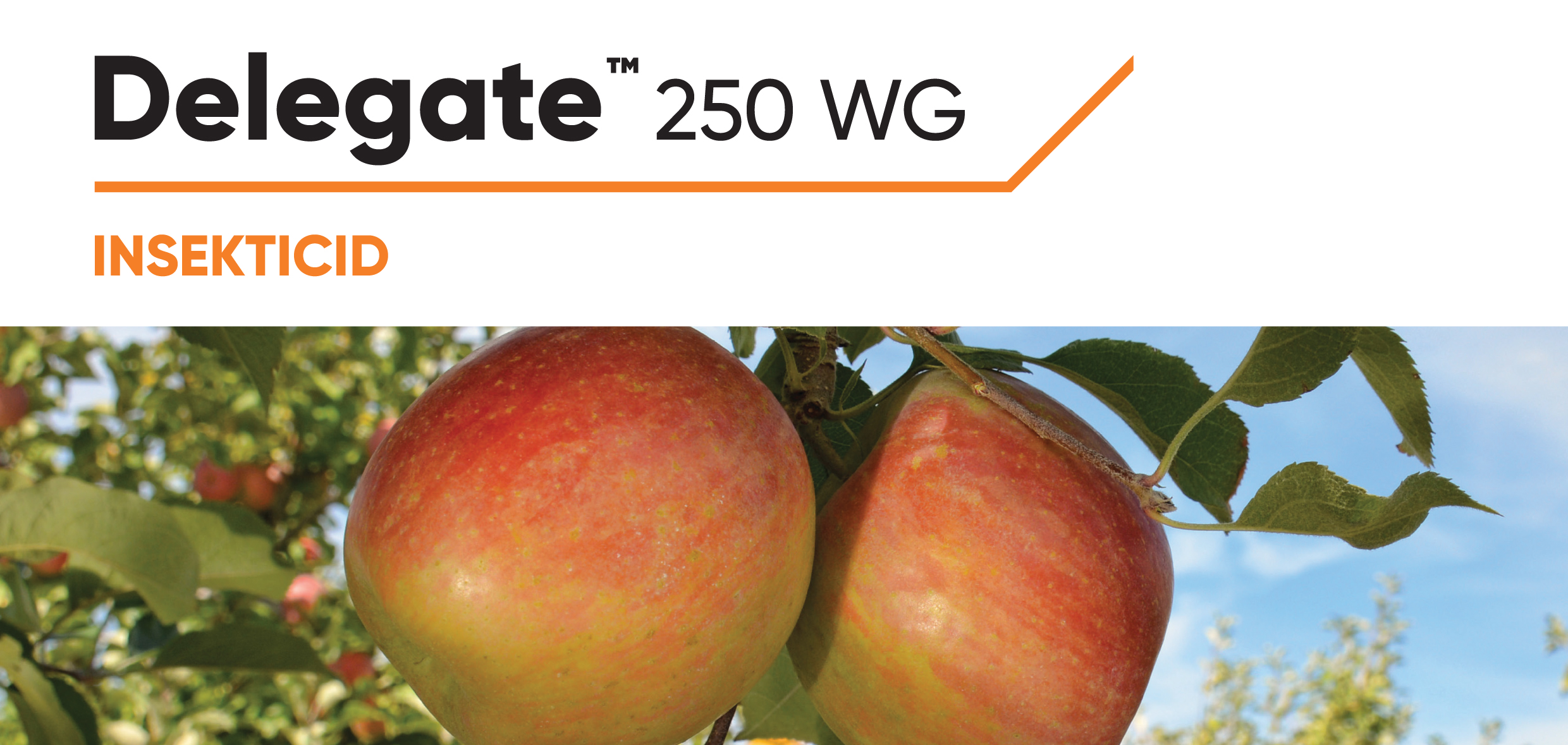 Delegate 250 WG 250 g