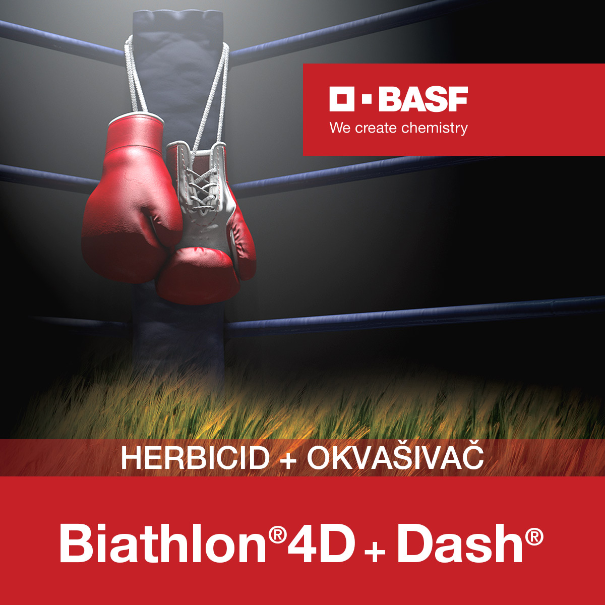 Biathlon 4D 500 g + Dash 5 l