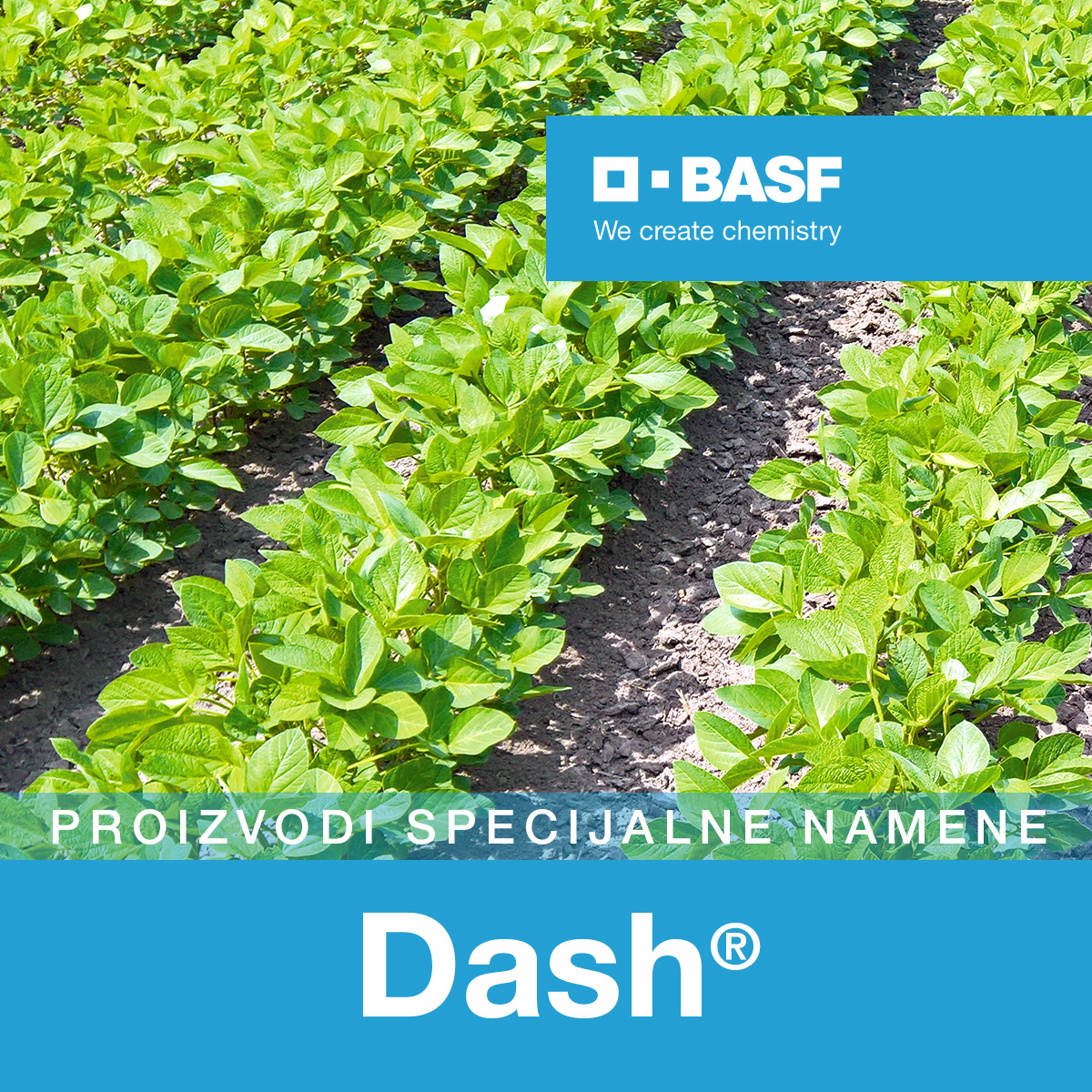 Dash 5 l