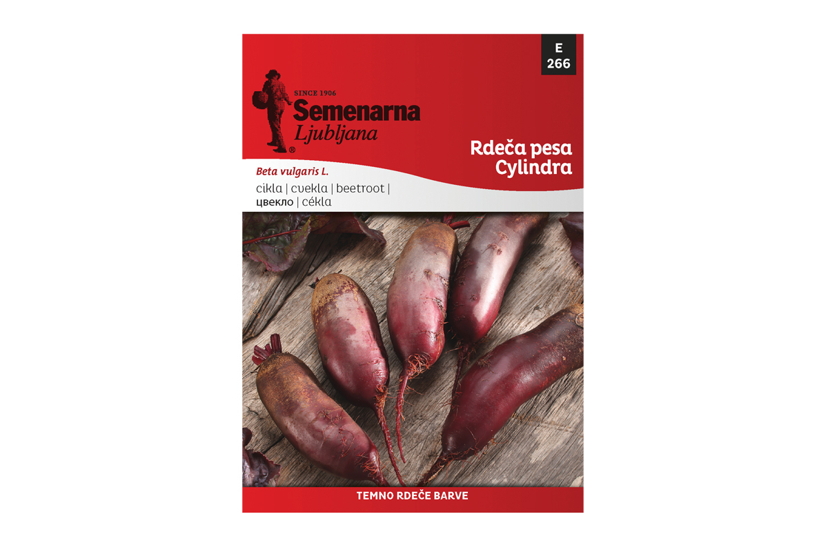 Semenarna CVEKLA CYLINDRA