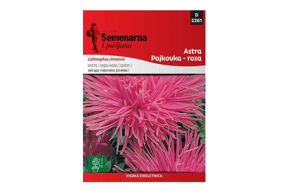 Semenarna LEPA KATA PAJKOVKA ROZA