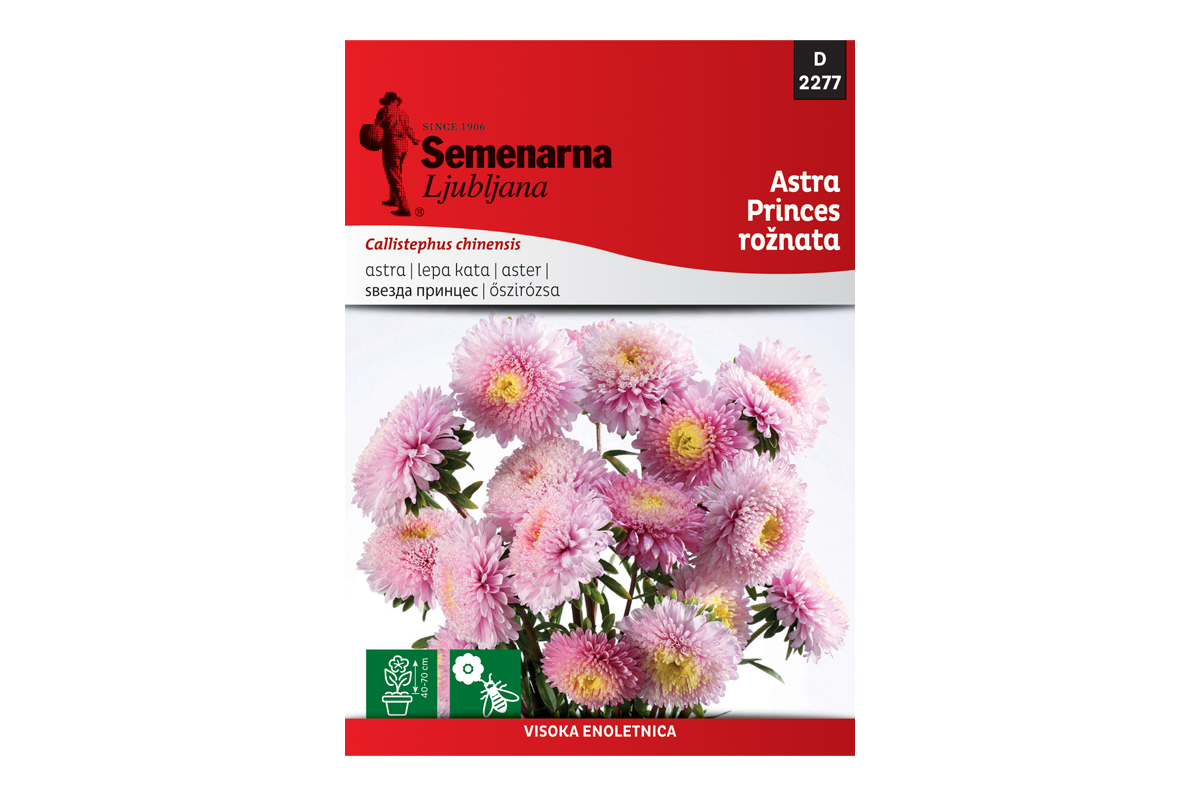 Semenarna LEPA KATA ROZA