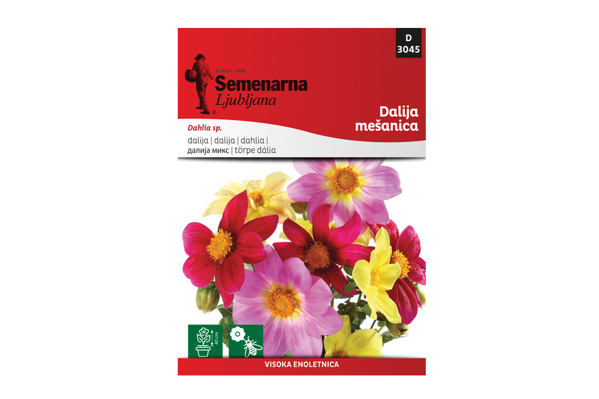 Semenarna DALIJA