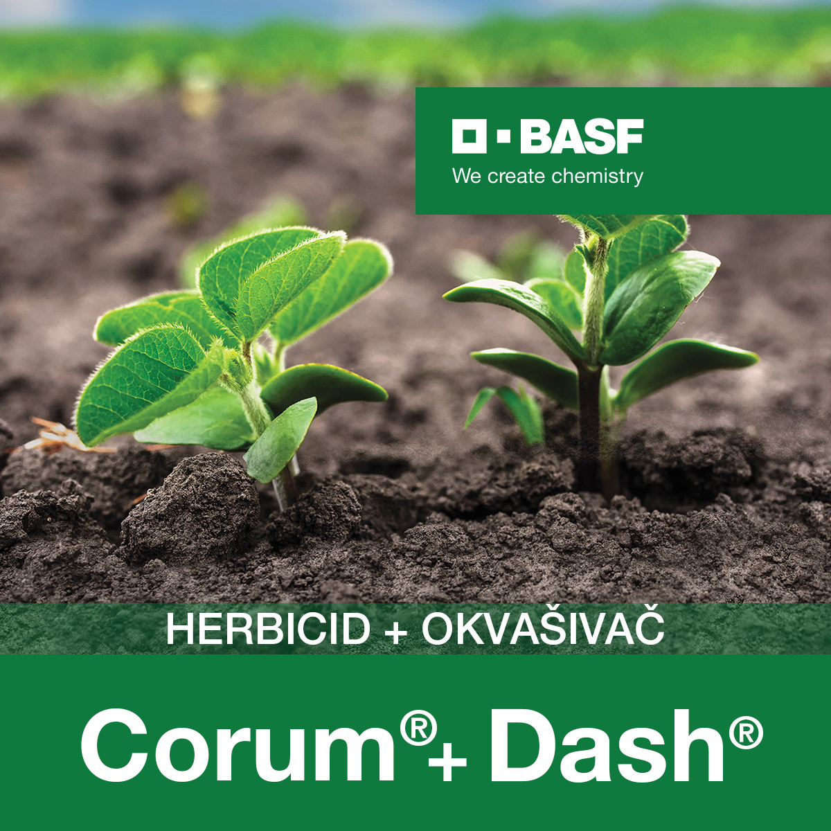 Corum + Dash (2x5 l + 5 l)