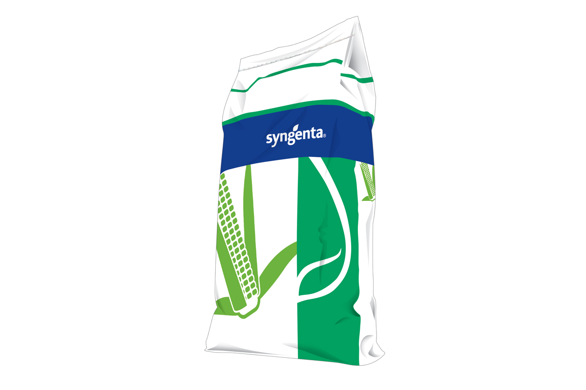 Kukuruz SYNGENTA MILESTON (FAO 450) + Force