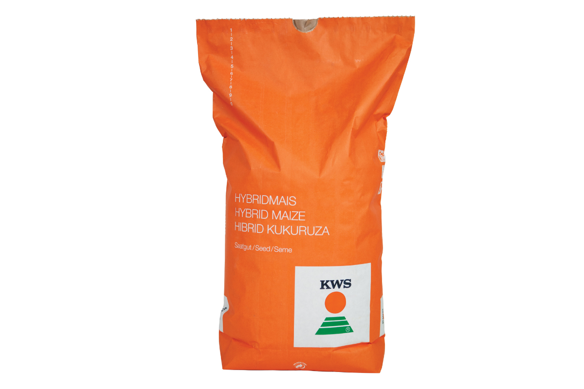 Kukuruz KWS Kashmir (FAO 400) Initio BP
